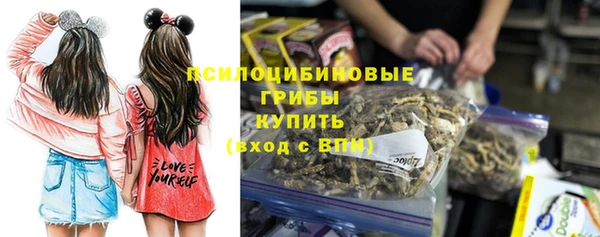 хмурый Верхний Тагил