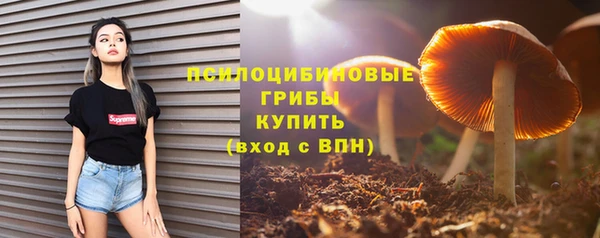 хмурый Верхний Тагил